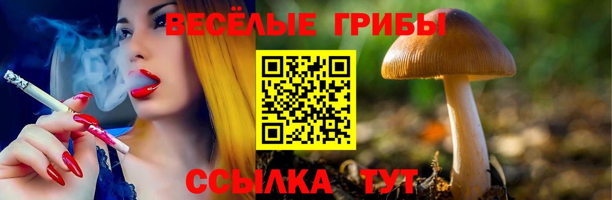 Псилоцибиновые грибы прущие грибы  Псилоцибиновые грибы Psilocybe  купить наркоту  Нижнекамск  Вход с VPN 